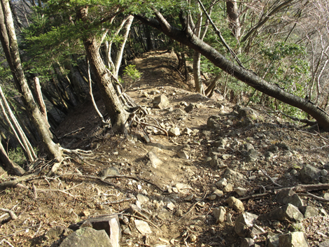 20190108hike (416)